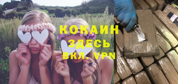 винт Алзамай