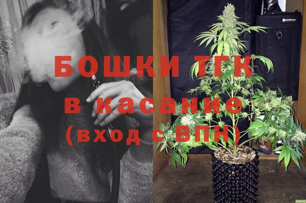 шишки Алексин
