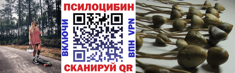 Псилоцибиновые грибы прущие грибы  mega зеркало  Бобров 